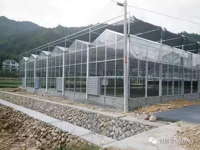 夏天为什么你的温室大棚不能用，而别人家的温室大棚里凉爽宜人