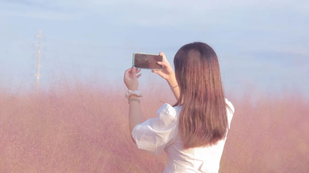 金的功用,金的功能主治