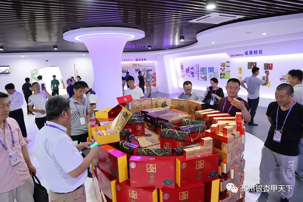 邳州大蒜与金乡大蒜,关于邳州特产大蒜介绍