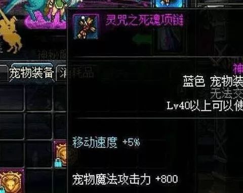 dnf没有宠物装备怎么凑抗性,dnf宠物装备没有20个有幻影吗