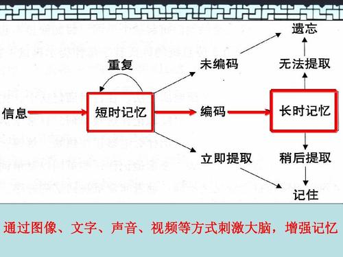 想提高记忆力开发右脑,想提升智商和记忆力吃什么