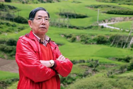 金竹画名家,柴寿武金竹国画技法