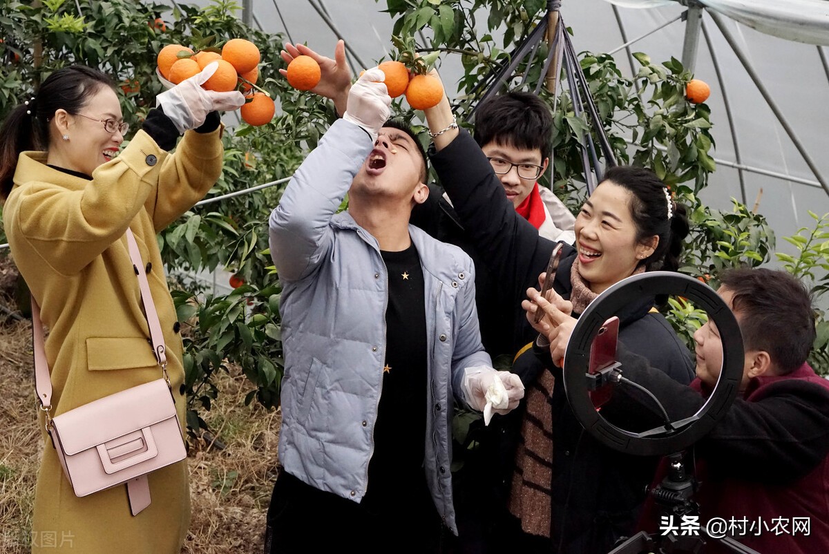 农村年轻人回村创业项目,农村创业致富的路子是什么呢