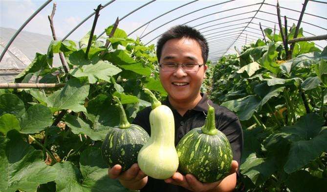 90后青年呆在农村干种植年赚200万,农村靠种植致富的案例