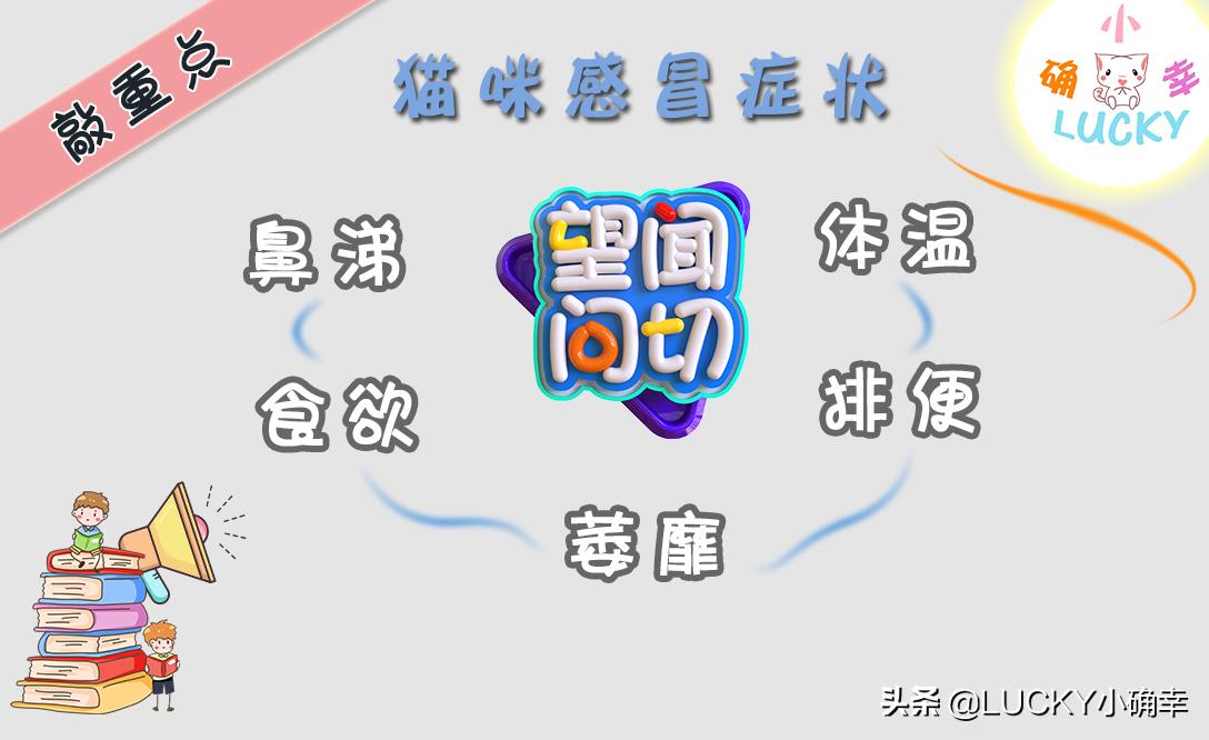 猫咪喝水呛鼻子怎么办,猫咪不爱喝水鼻子干怎么办