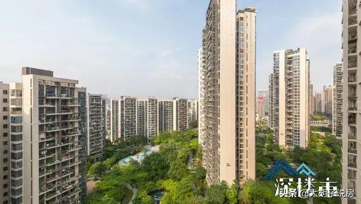 深圳的这个区域，为什么被看好？