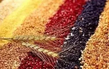 健康吃什么对身体好,健康养肝护肝吃这四种食物