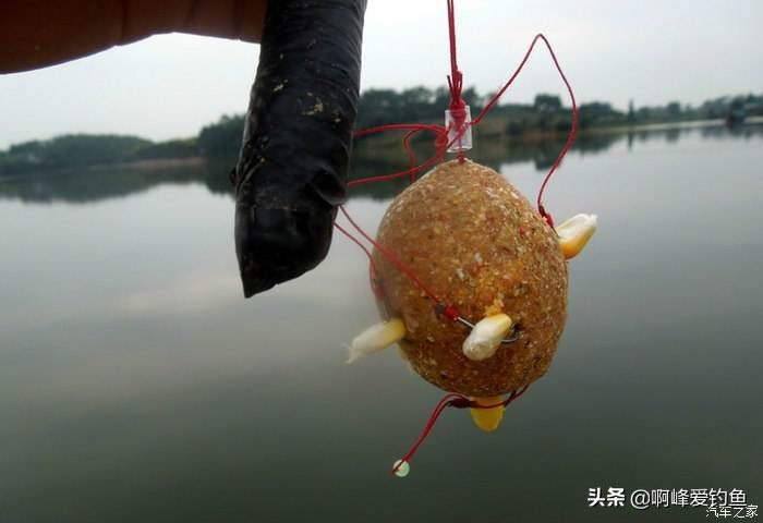 野钓用海竿钓巨物技巧,海竿中鱼率最高的野钓方法