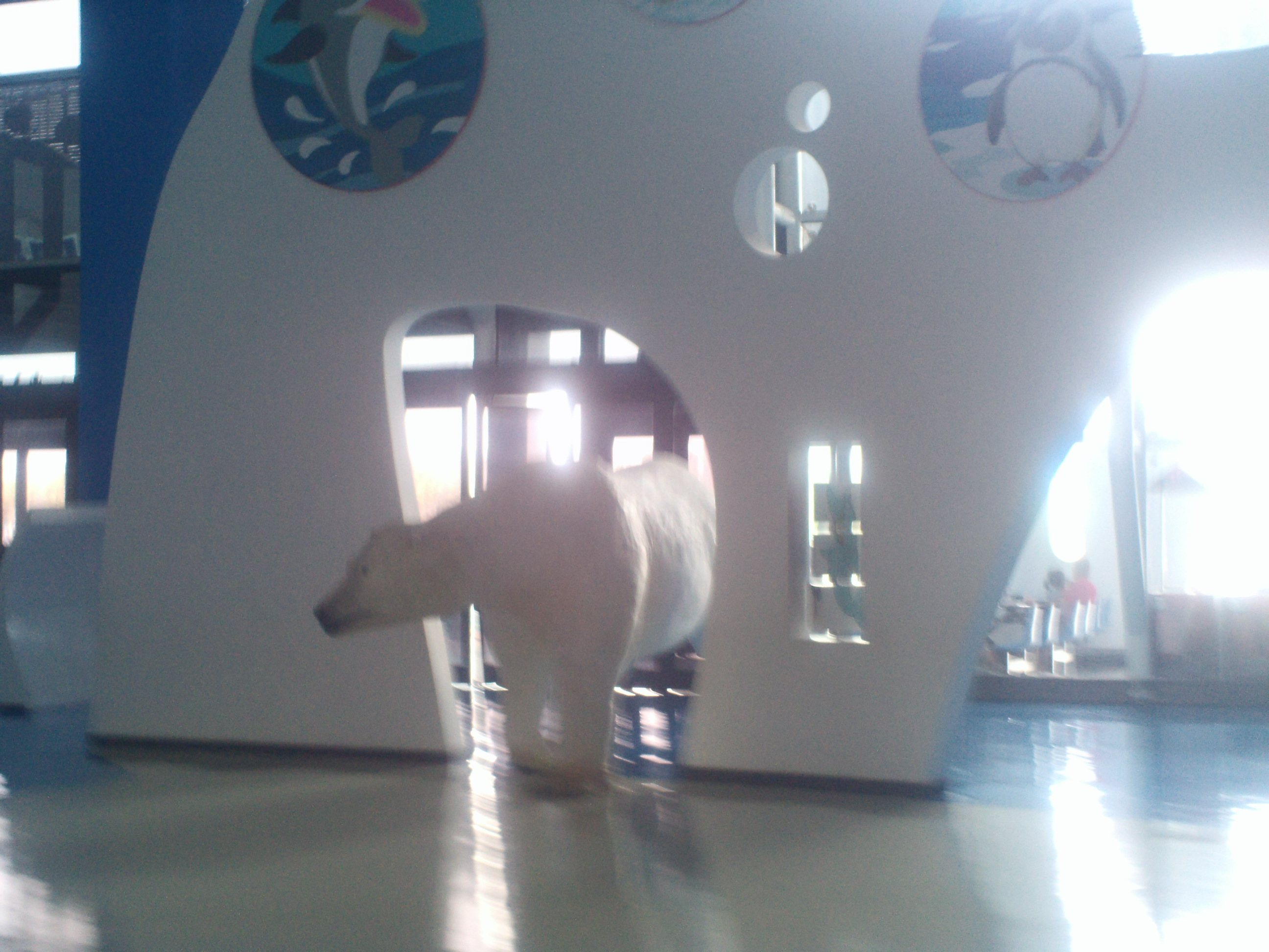 泉城海洋极地世界游玩攻略,泉城海洋极地世界官网