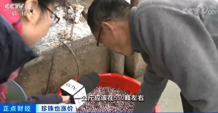 珍珠价格连续三年上涨视频,珍珠价格上涨的原因视频