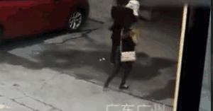 女子被天降大狗砸瘫痪获赔超百万,女子被大狗砸瘫获赔