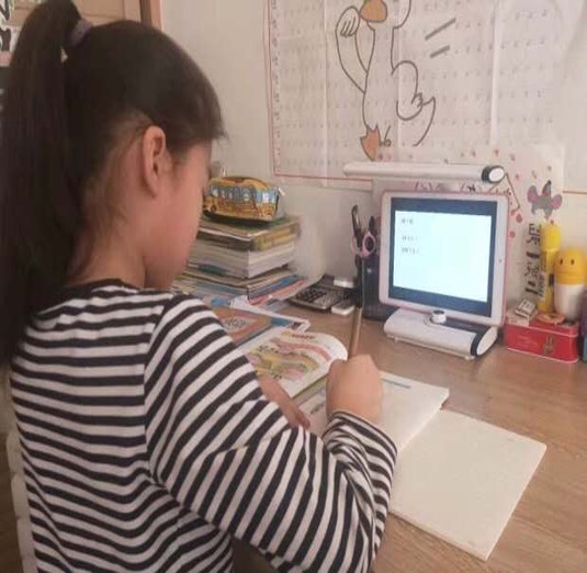 鏁欏瀹炴搷鑳藉姏鍩硅,鏁欏瀹炴搷璇惧爞