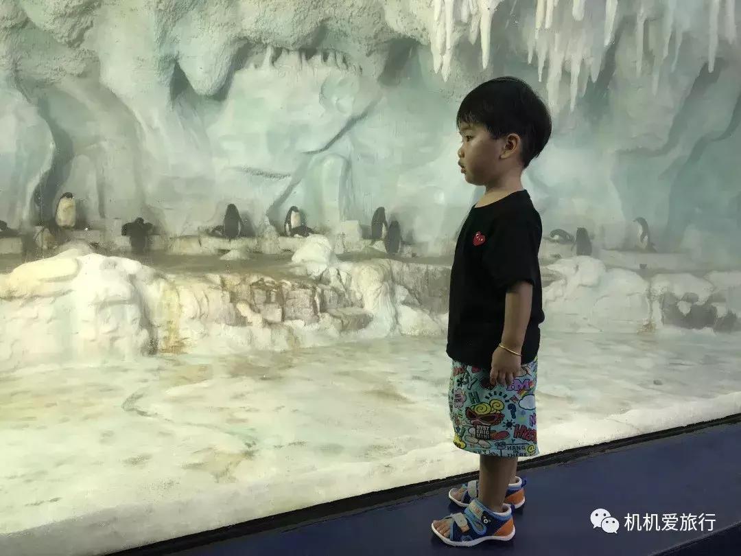 珠海和广州长隆旅游攻略,珠海长隆乐园游玩攻略