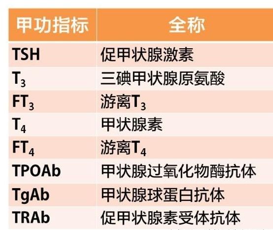 甲功检查中抗甲状腺球蛋白抗体高,甲功检查发现促甲状腺激素偏高