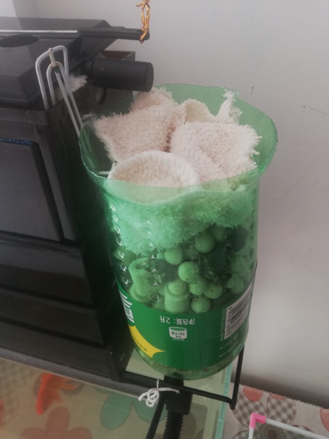 pvc水管自制鱼缸过滤器视频,怎么用雪碧瓶做过滤器养鱼