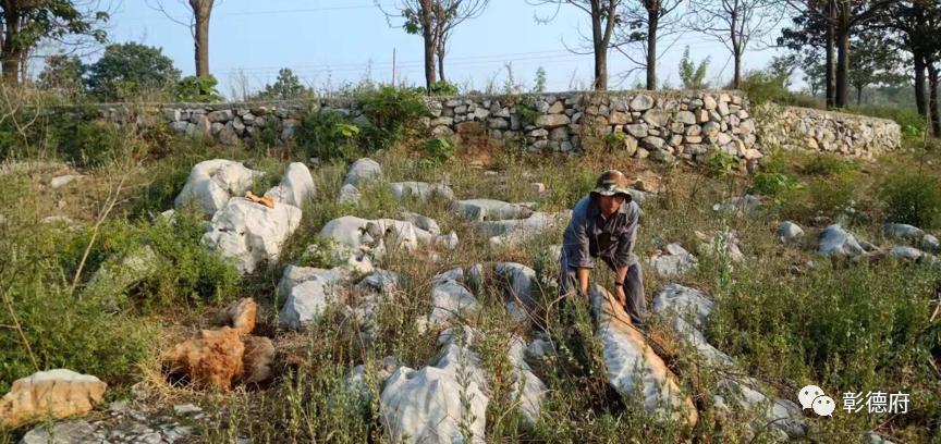 太行山风化石,太行山林石