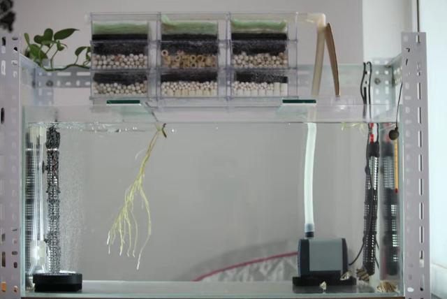 鱼缸细菌屋放在底砂底下吗,鱼缸细菌屋下面