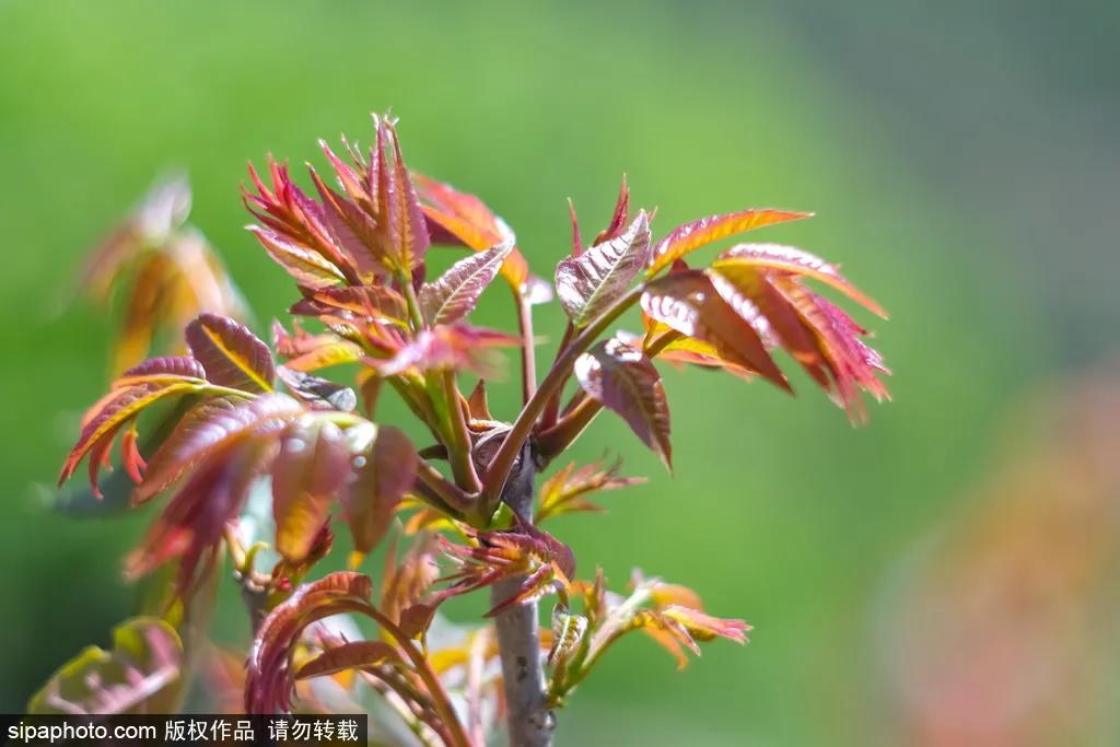 北京房山长沟五一旅游,五一房山旅游哪里待合适