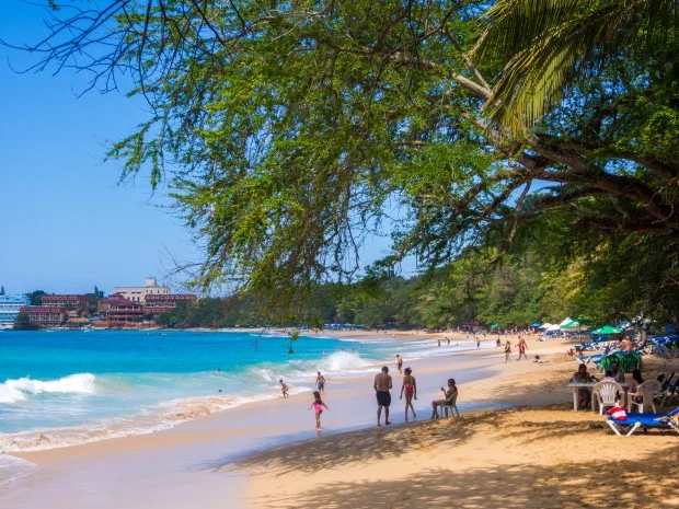 13岁的女孩被和猪一起卖，记者暗访揭开多米尼加未成年人卖淫黑幕