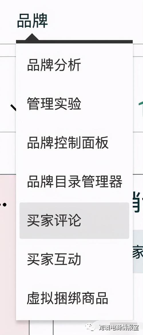 亚马逊对售后卡差评修改功能上线会员日数据新卖家新商品看到希望
