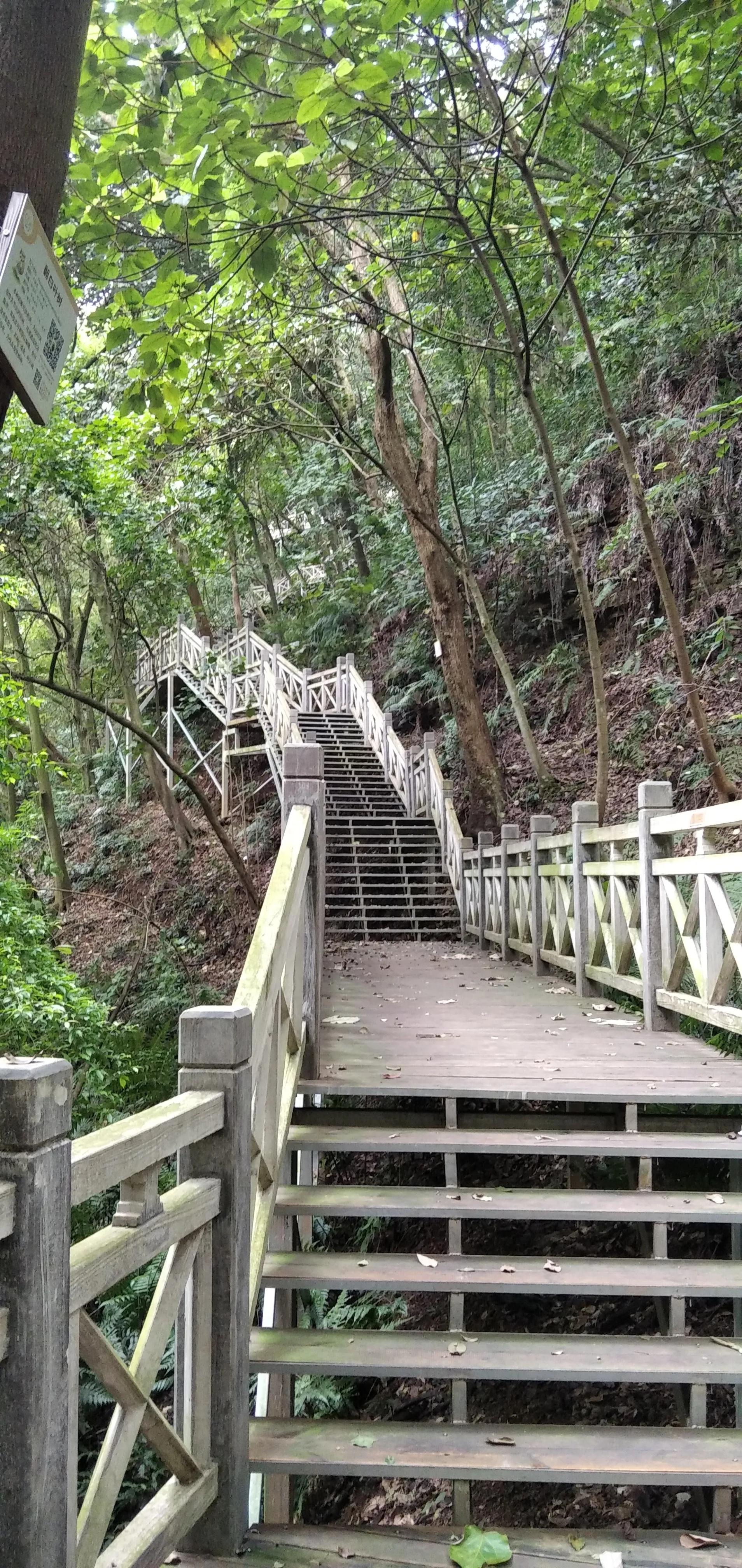 良凤江国家森林公园在哪里啊,良凤江国家森林公园