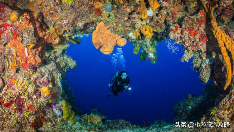 潜水小白必看,潜水圣地三天旅游攻略