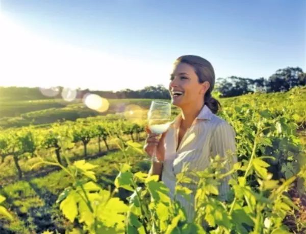 新西兰利于发展什么农业,新西兰农业发展状况