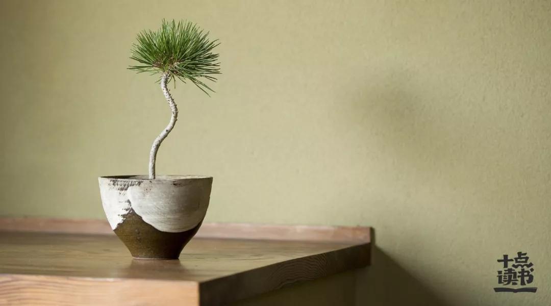 7个让你更自由的极简生活法则