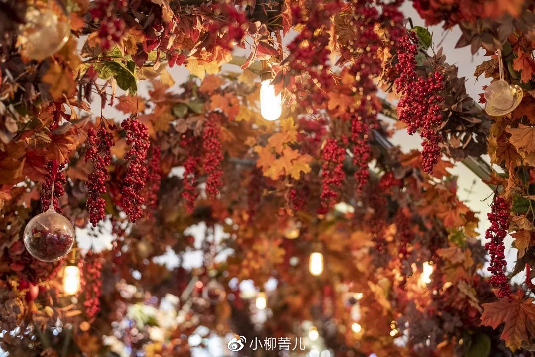 曼谷又好吃又好玩 (泰国美食曼谷旅游攻略)