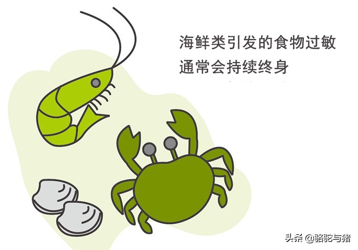 常见易引起过敏的食物,易引起过敏的食物有哪些