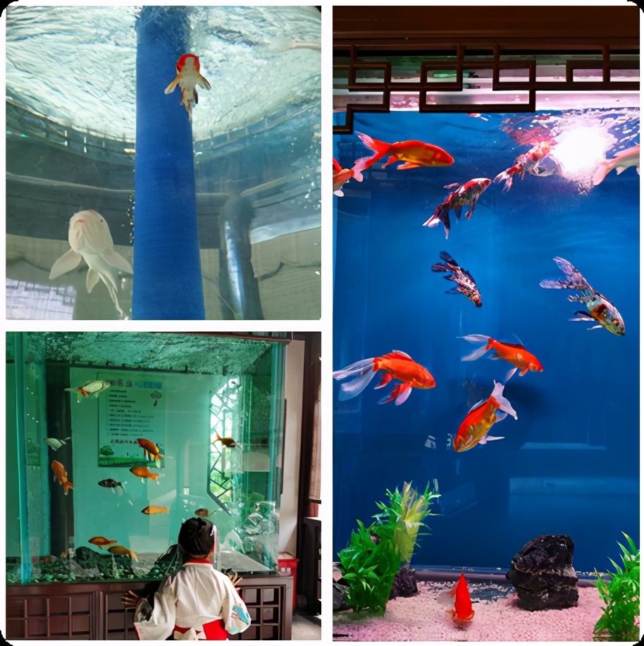 放飞的周末时光,放飞自我的周末时光