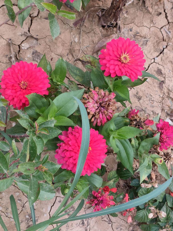 因过竹院逢僧话偷得浮生半日闲,偷得浮生半日闲下一句什么意思