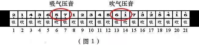 国光口琴24孔复音c调多少钱,24孔复音c调口琴买哪个品牌