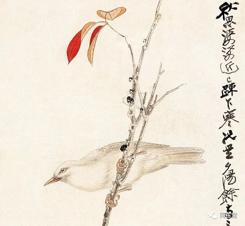 同古堂文玩,同古堂瓷器