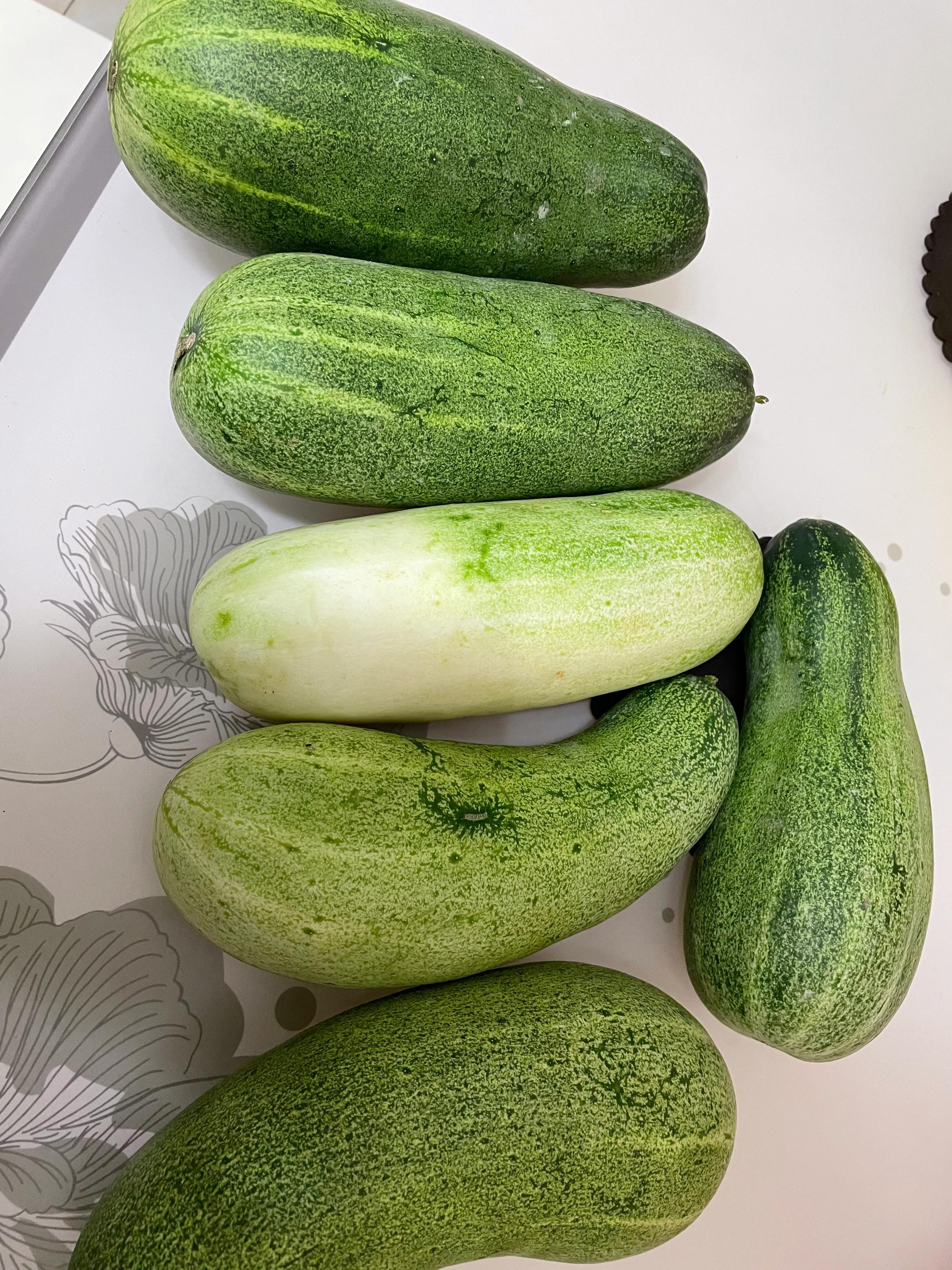 粗犷的黄瓜,坚韧的黄瓜