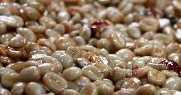 咖啡长霉菌了怎么处理,咖啡发霉是什么霉菌