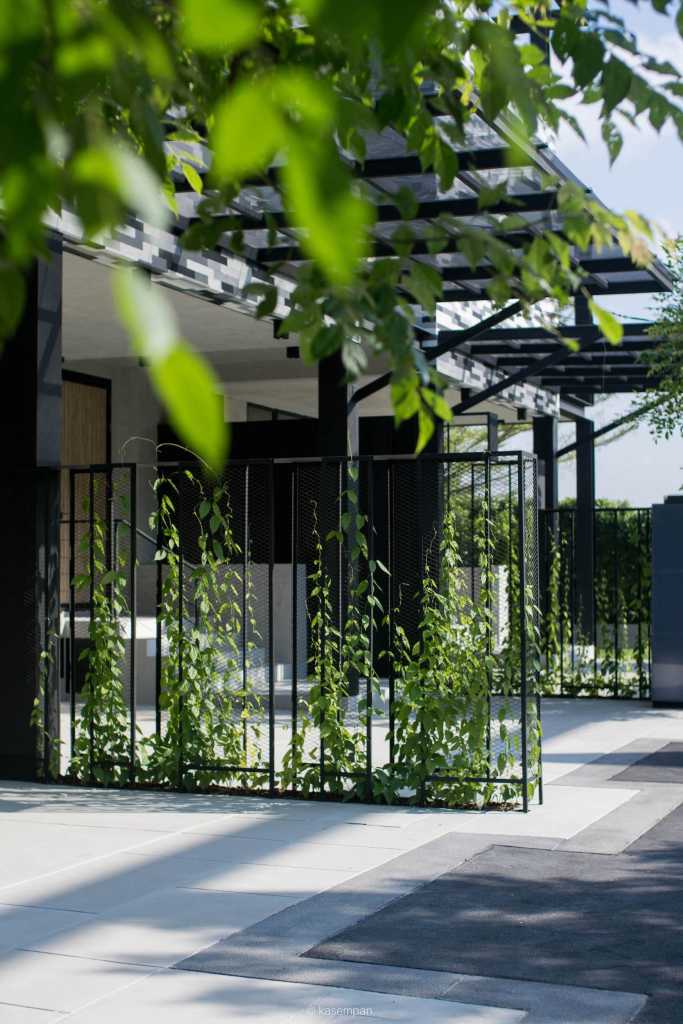 曼谷像素大厦住宅,泰国的绿色房子