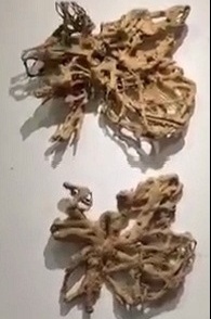 蓝池少儿舞蹈,蓝池少儿拉丁舞教学法怎么样