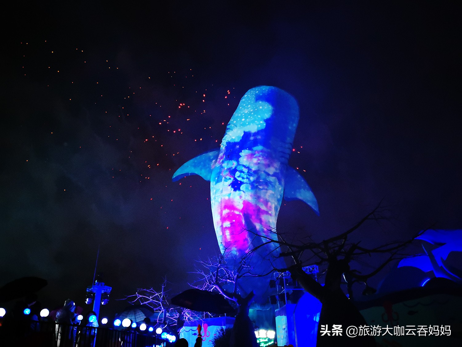 珠海长隆看动物攻略,广州长隆野生动物世界看狮子