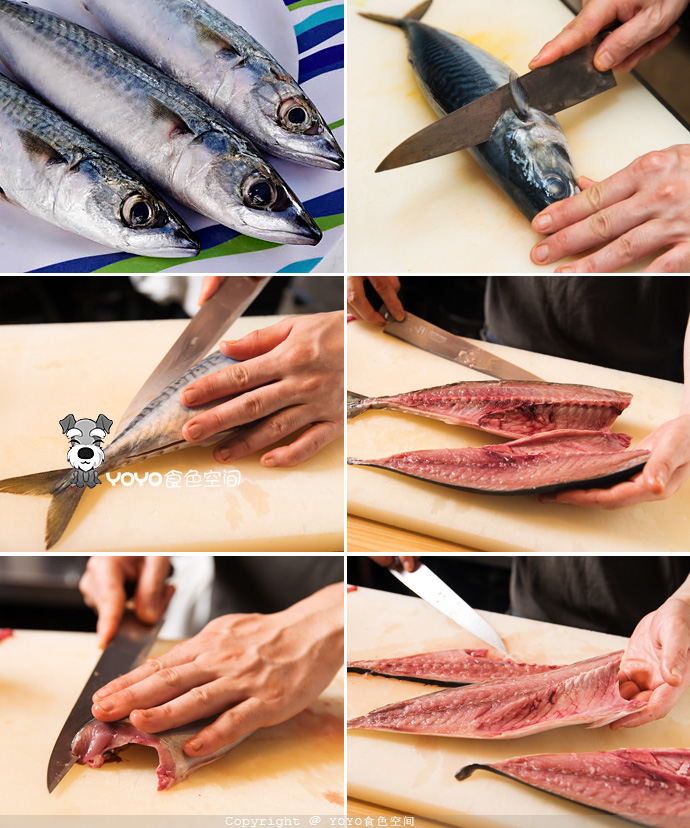 挪威自由行游记,挪威三文鱼远洋