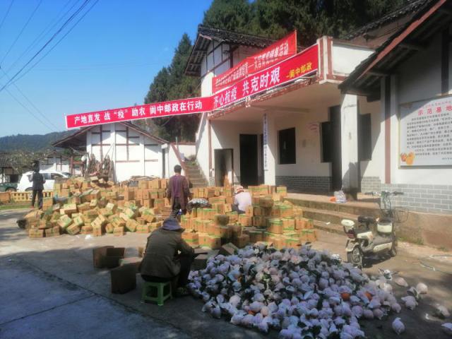 一见青心以书会友,一见青心店铺