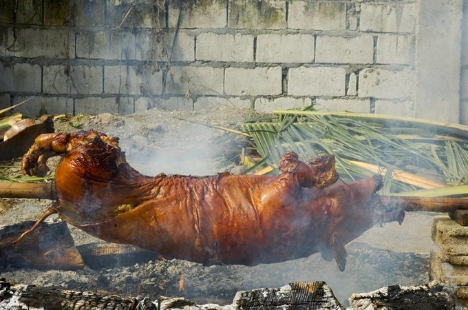 第一次到菲律宾注意事项,第一次去菲律宾旅游的感受语言