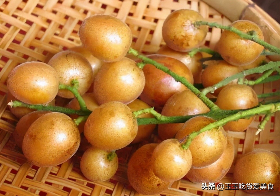 夏天吃8种水果美味又养人,夏天有什么好吃还解暑的水果