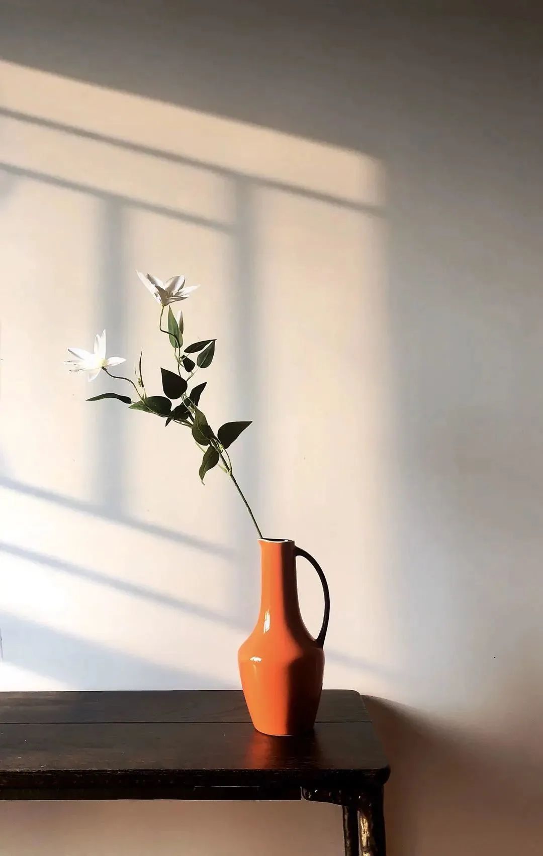 点赞他们的高光时刻,大家用手机拍出过什么好看的照片