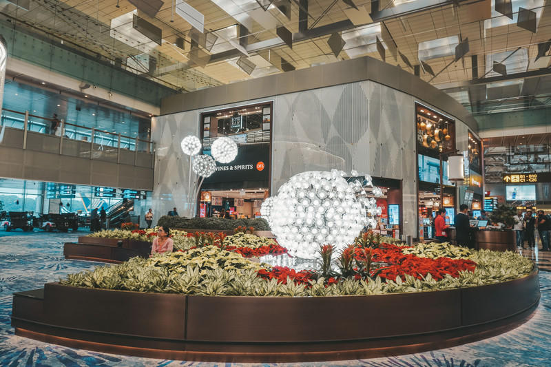 一人一猫环游,一人一猫旅行