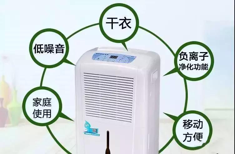 天气潮湿蘑菇长霉了怎么办,梅雨季节房间墙壁长霉怎么处理