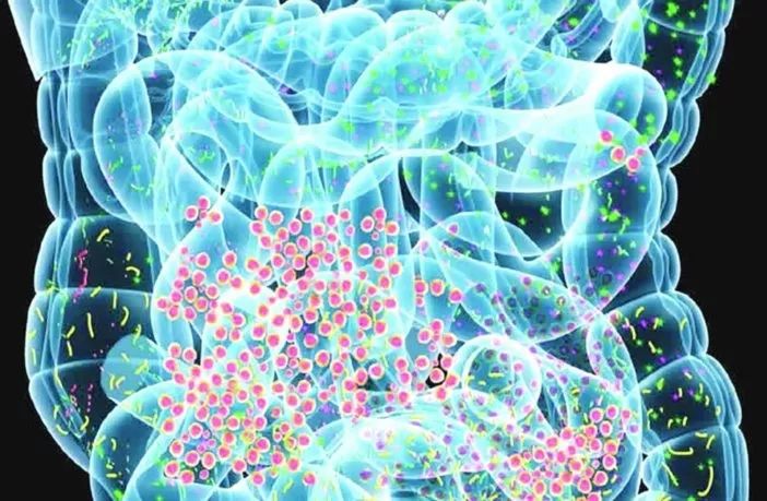 导致菌群失调最常见的原因,肠道菌群失调注意事项