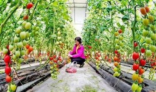 生态农业发展的十大模式,怎样发展生态农业