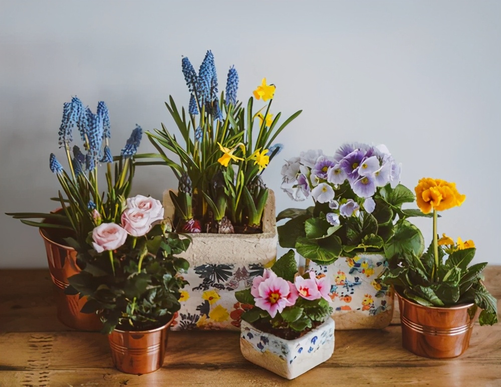 人生最好的活法：不攀比，不固执，简单就是幸福