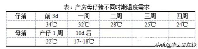 如何预防仔猪病毒性腹泻,防治保育仔猪腹泻用什么药